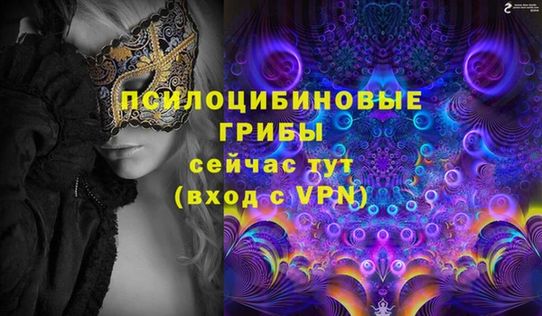 винт Армянск