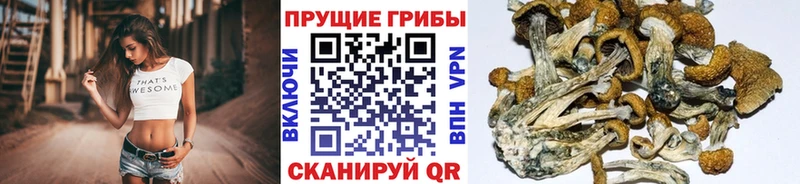 Псилоцибиновые грибы ЛСД как найти закладки Радужный