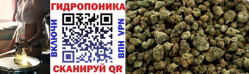 Шишки марихуана VHQ мега зеркало Радужный